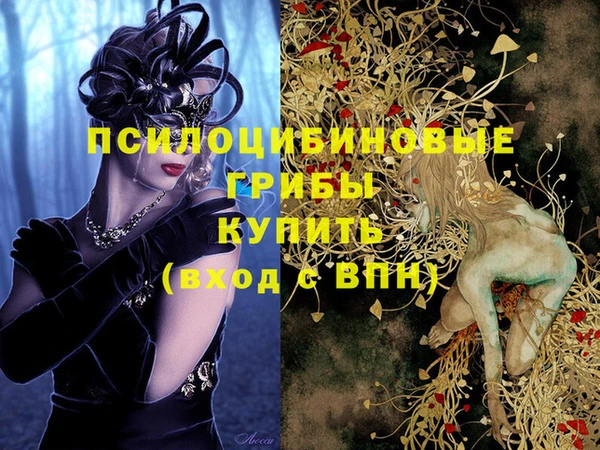 метамфетамин Инсар