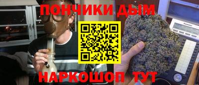 бошки Гатчина