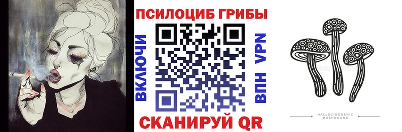 Галлюциногенные грибы MAGIC MUSHROOMS  что такое   Жуковский 