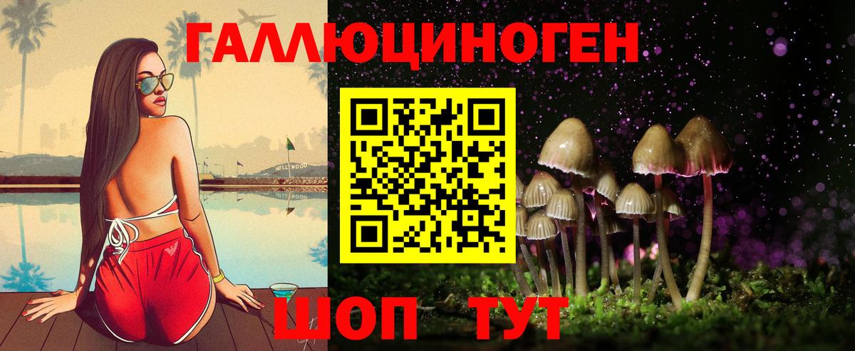 Галлюциногенные грибы GOLDEN TEACHER Жуковский