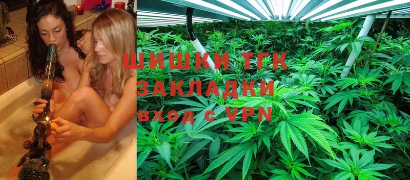 Канабис сатива  Жуковский 